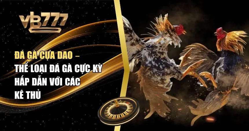 đá gà cựa daođá gà cựa dao