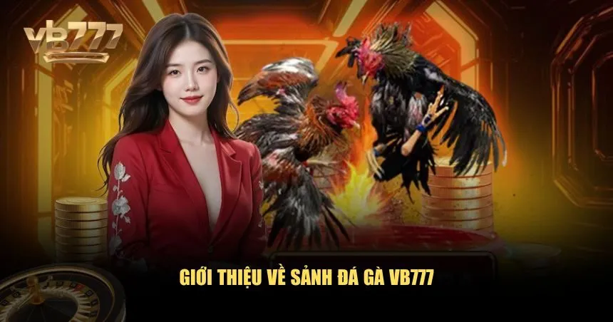 Giới thiệu về sảnh đá gà VB777 chuyên nghiệp