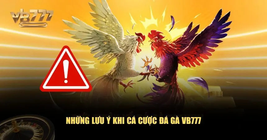 Lưu ý giúp bạn tham gia cá cược đá gà VB777 an toàn hơn và tối đa hóa cơ hội thắng