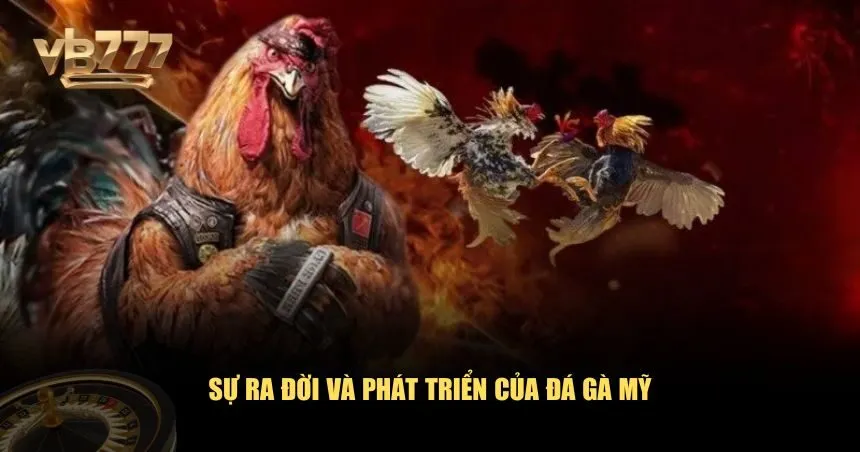 Đá gà Mỹ được xem là một trong những hình thức đá gà hiện đại bậc nhất