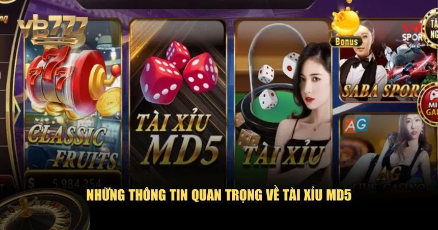 Tổng quan về trò chơi tài xỉu MD5